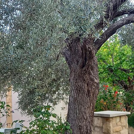 Villa Koumneni Pano Akourdalia 외부 사진