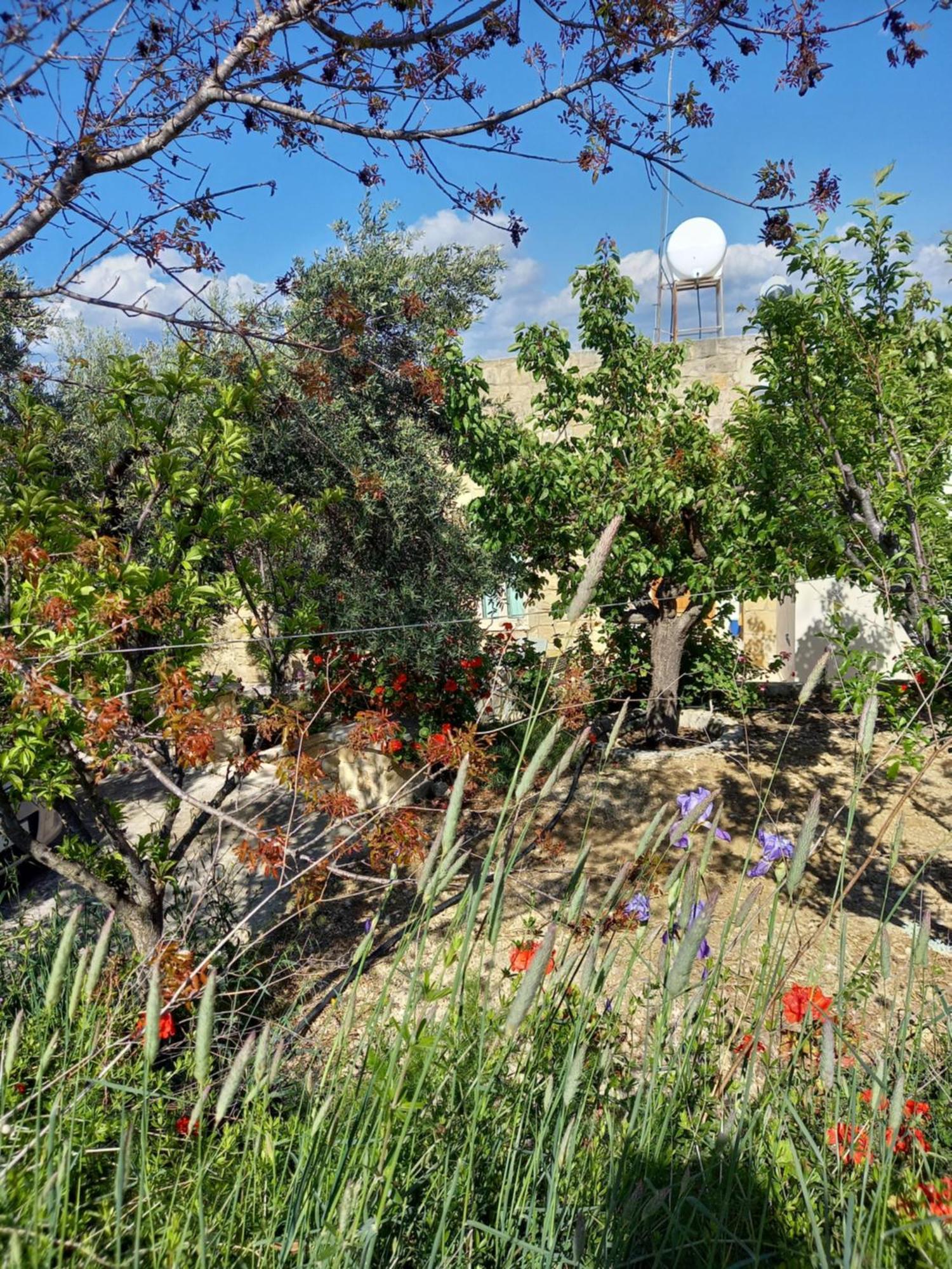 Villa Koumneni Pano Akourdalia 외부 사진