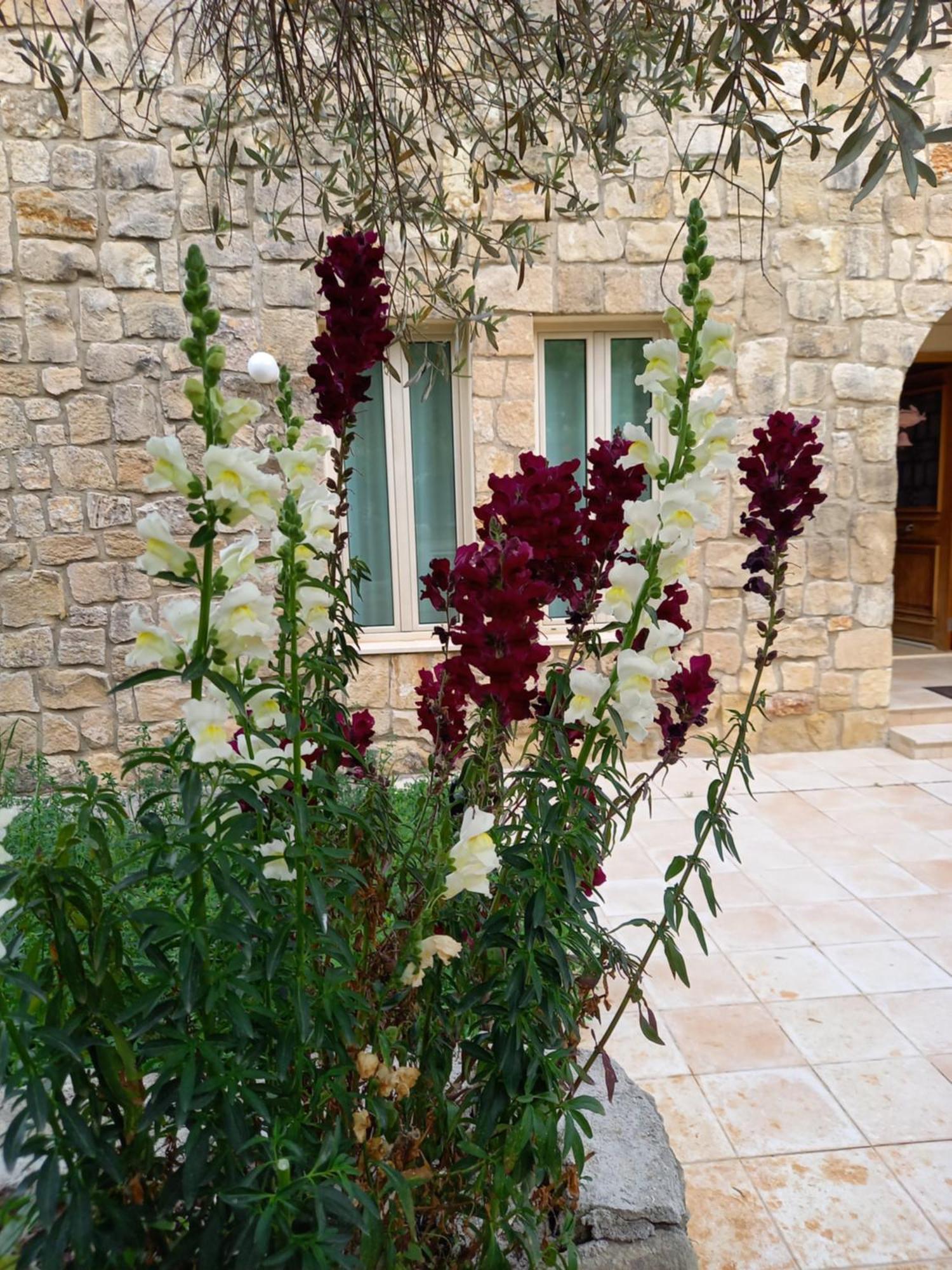 Villa Koumneni Pano Akourdalia 외부 사진