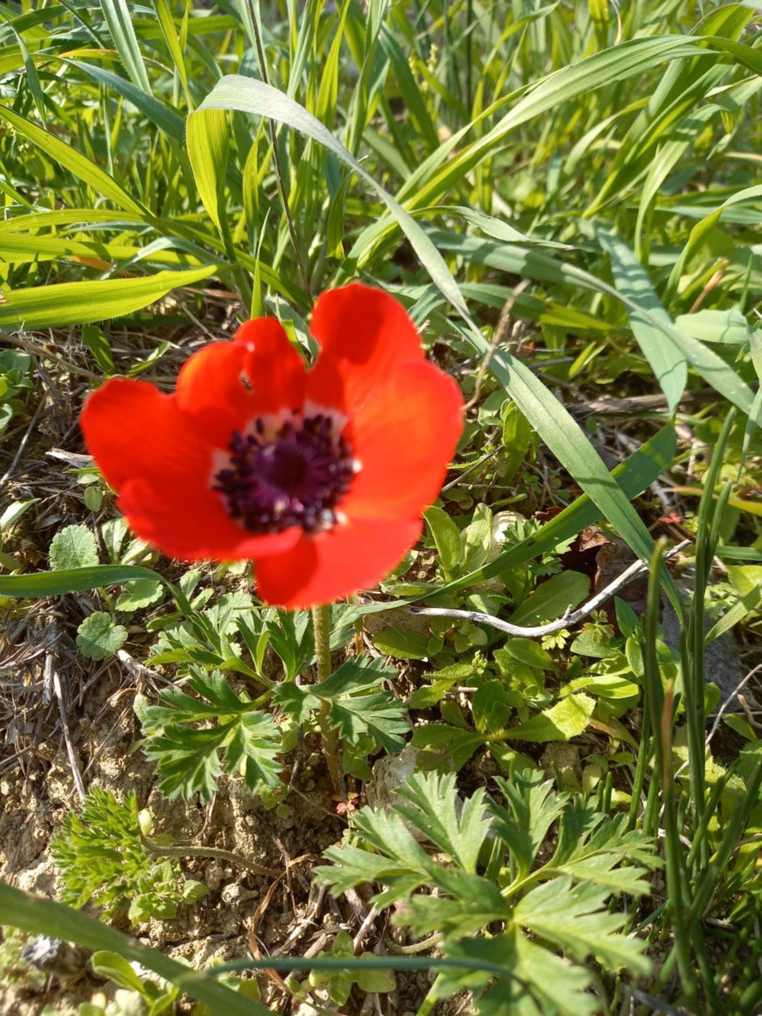 Villa Koumneni Pano Akourdalia 외부 사진