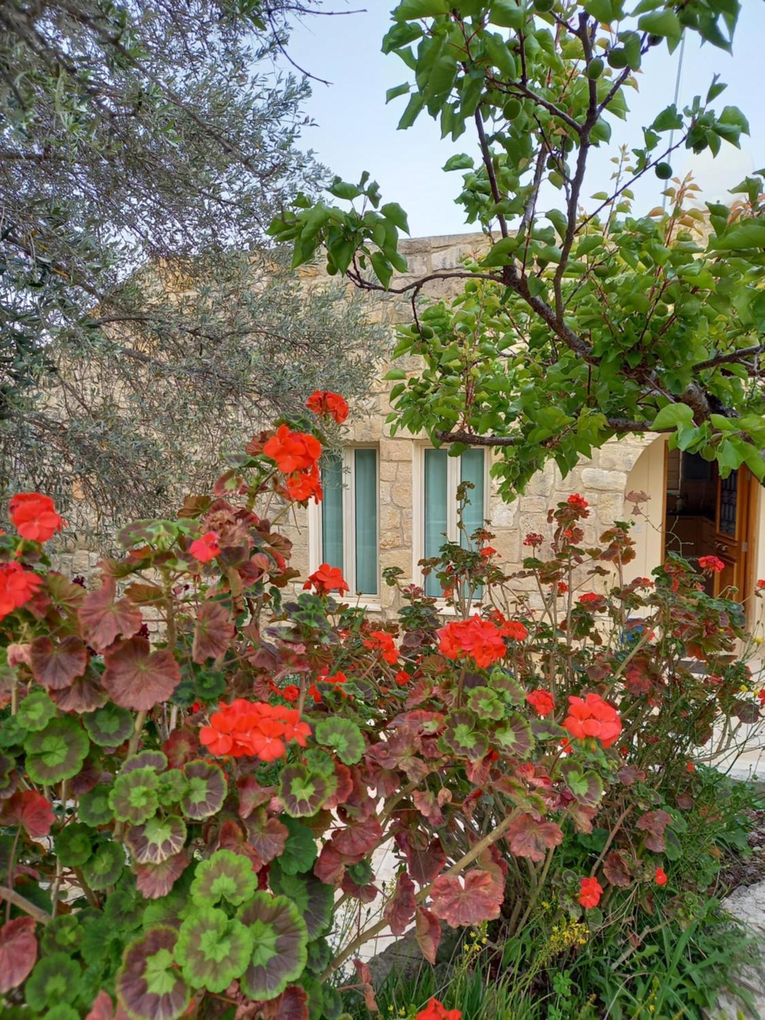 Villa Koumneni Pano Akourdalia 외부 사진