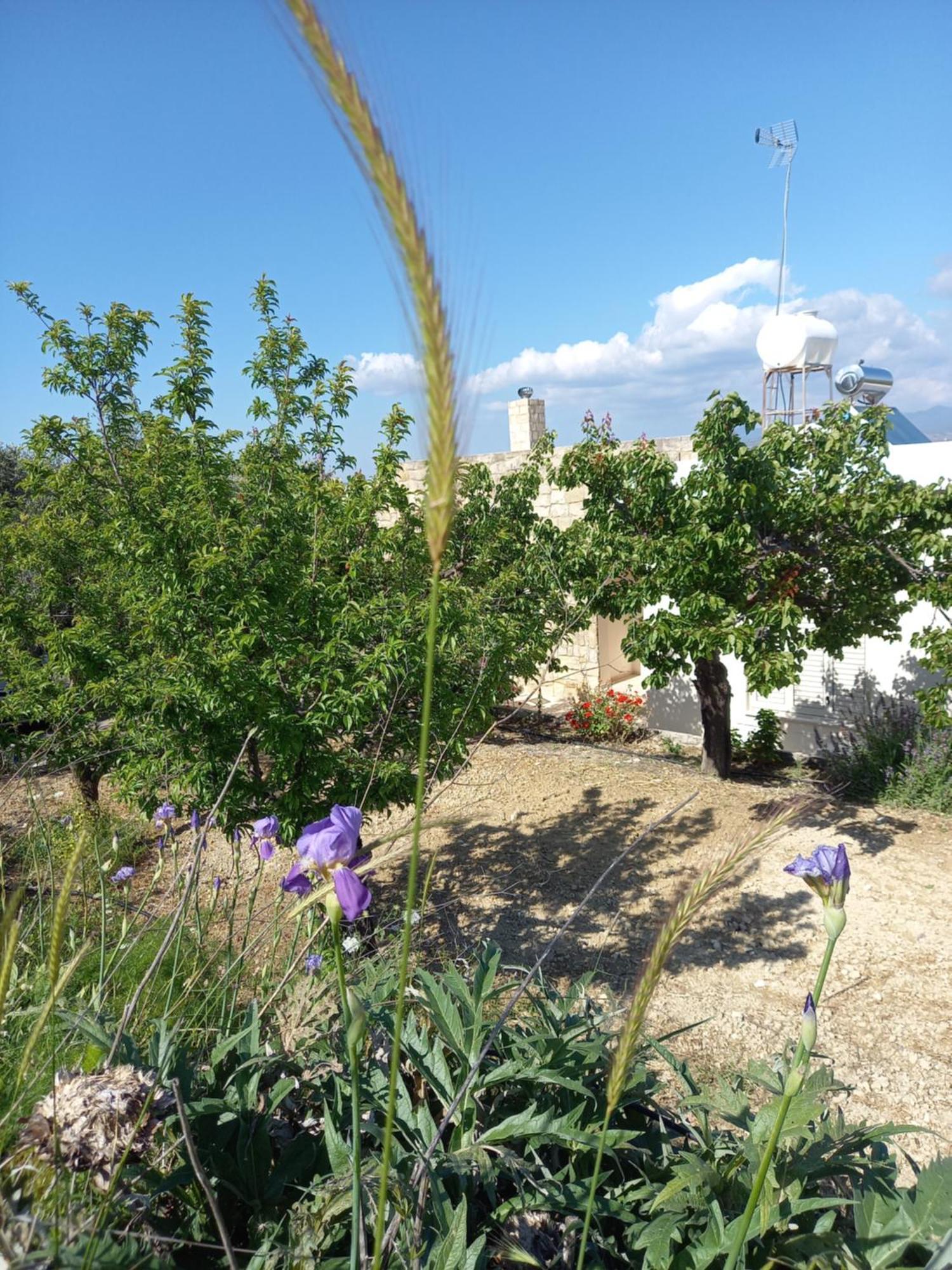 Villa Koumneni Pano Akourdalia 외부 사진