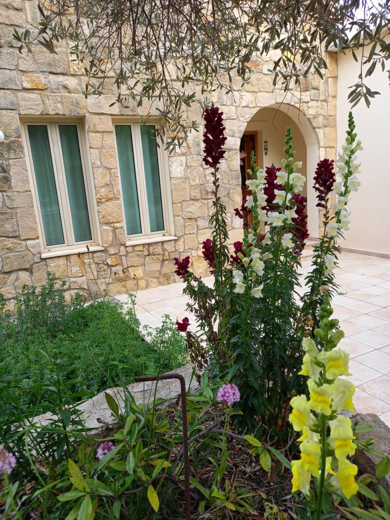 Villa Koumneni Pano Akourdalia 외부 사진