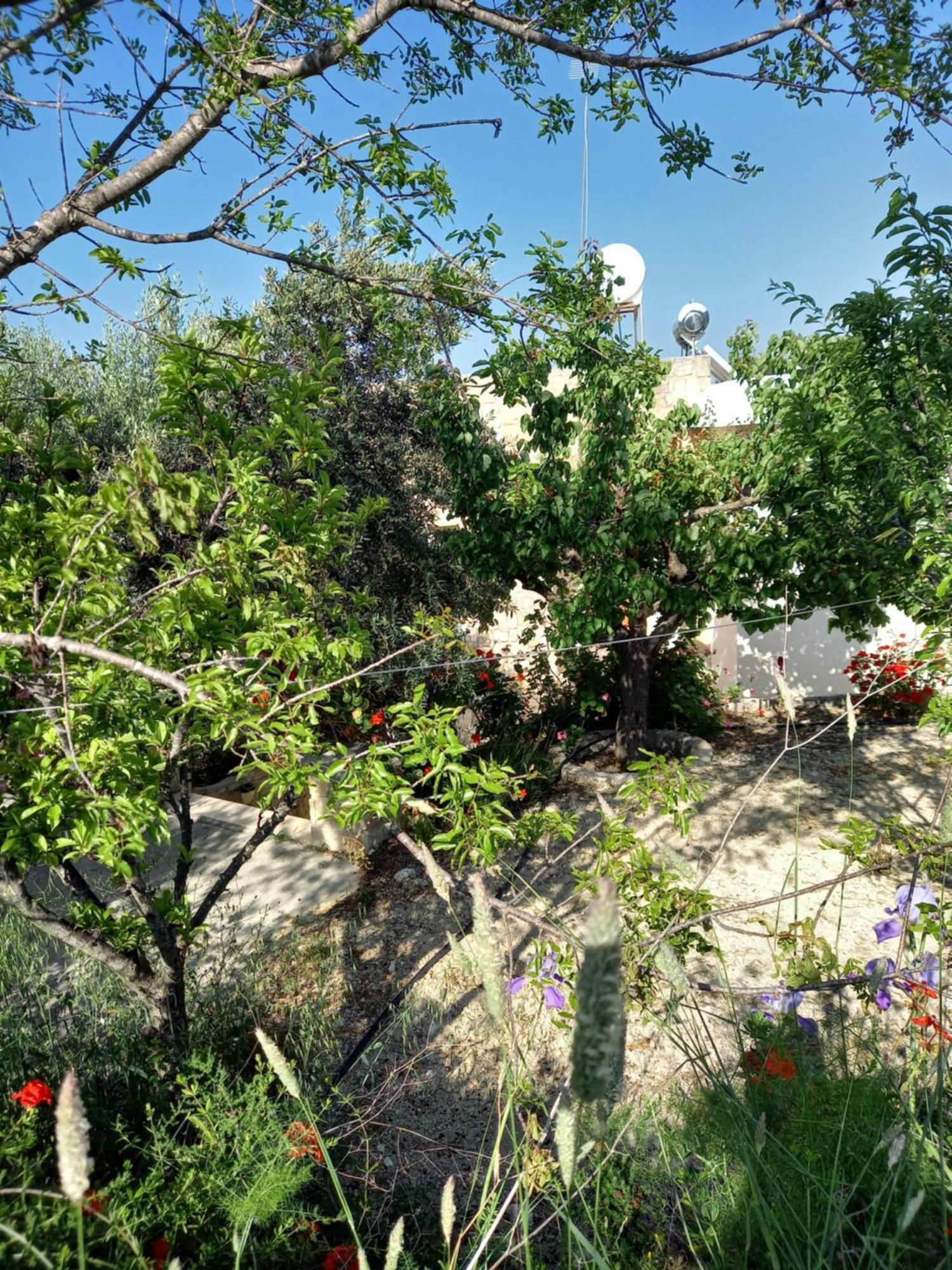 Villa Koumneni Pano Akourdalia 외부 사진