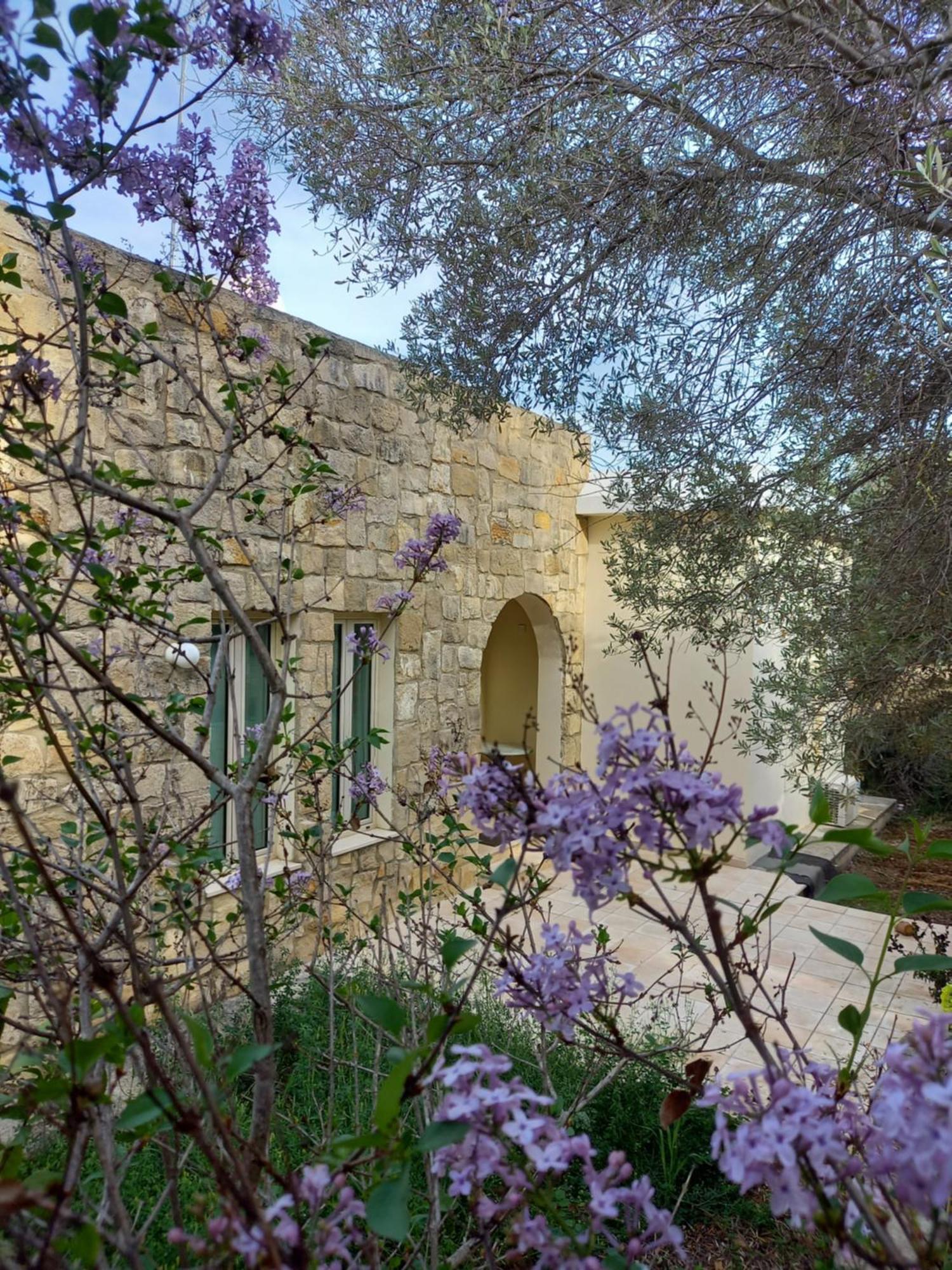 Villa Koumneni Pano Akourdalia 외부 사진