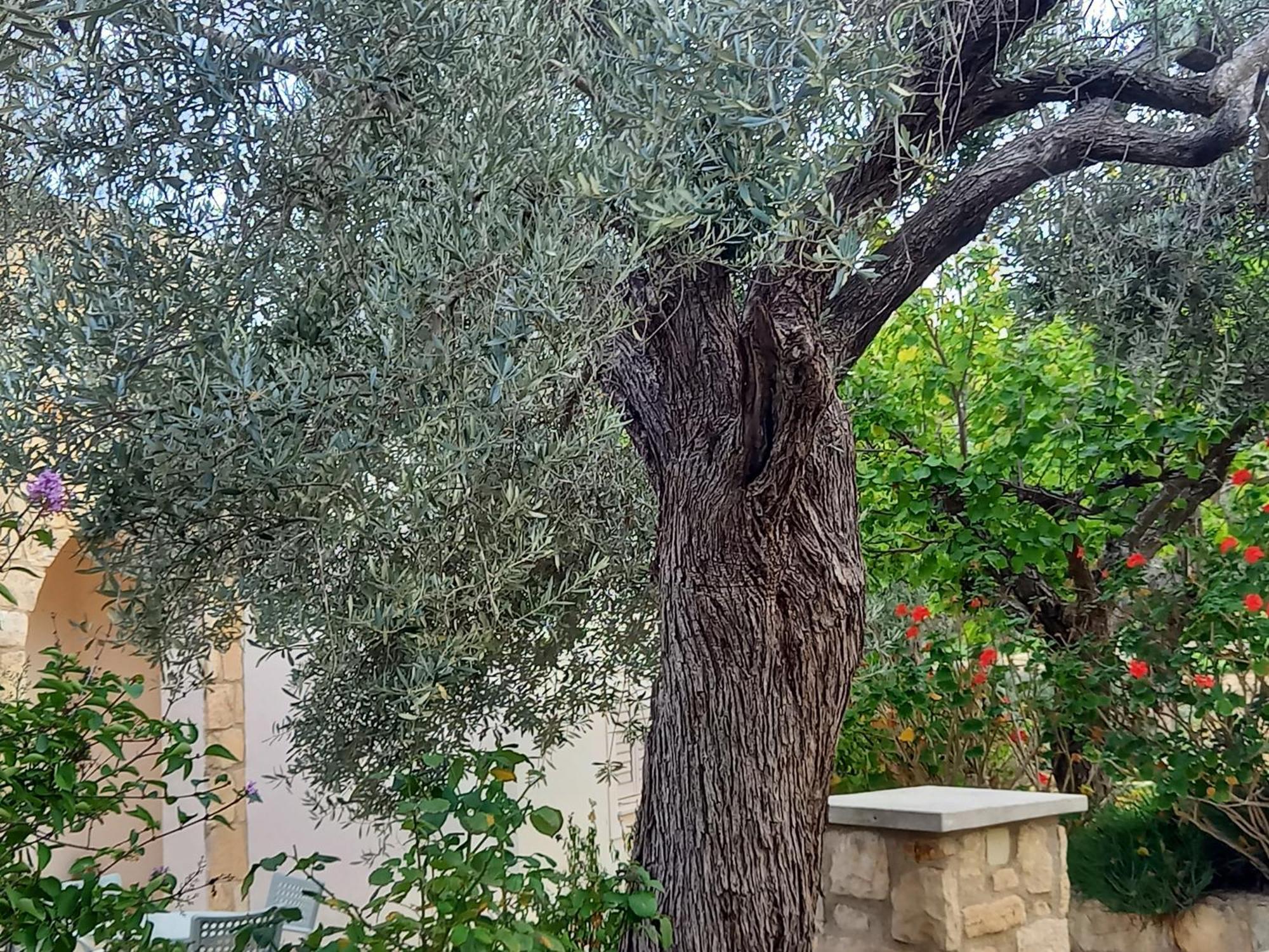 Villa Koumneni Pano Akourdalia 외부 사진